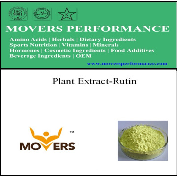 Plant Extract NF Grade Rutin